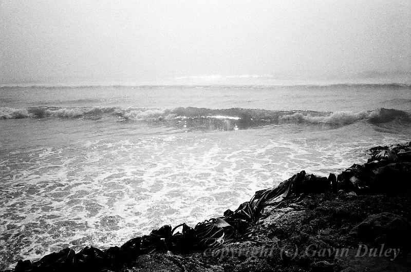 Sea Fog, Penguin Beach, Dunedin 00570017.JPG - Kodak TriX 400 film